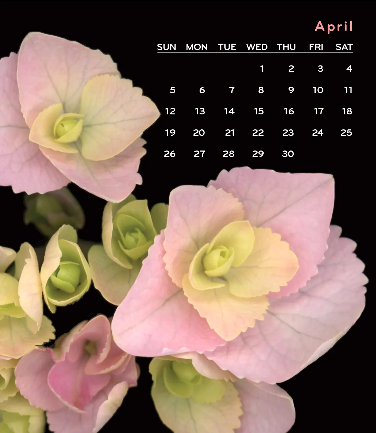 2026 Quiet Drama Easel Desk Calendar