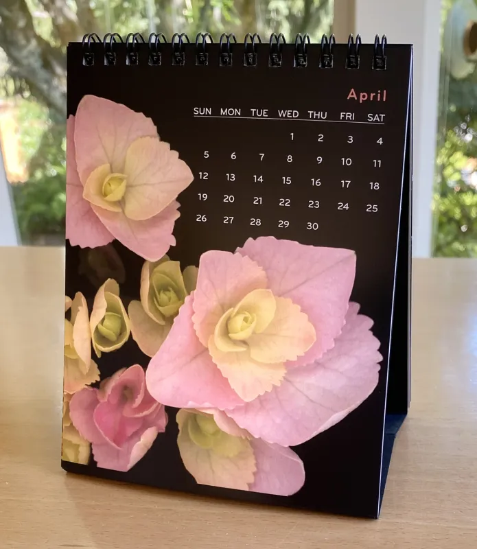 2026 Quiet Drama Easel Desk Calendar