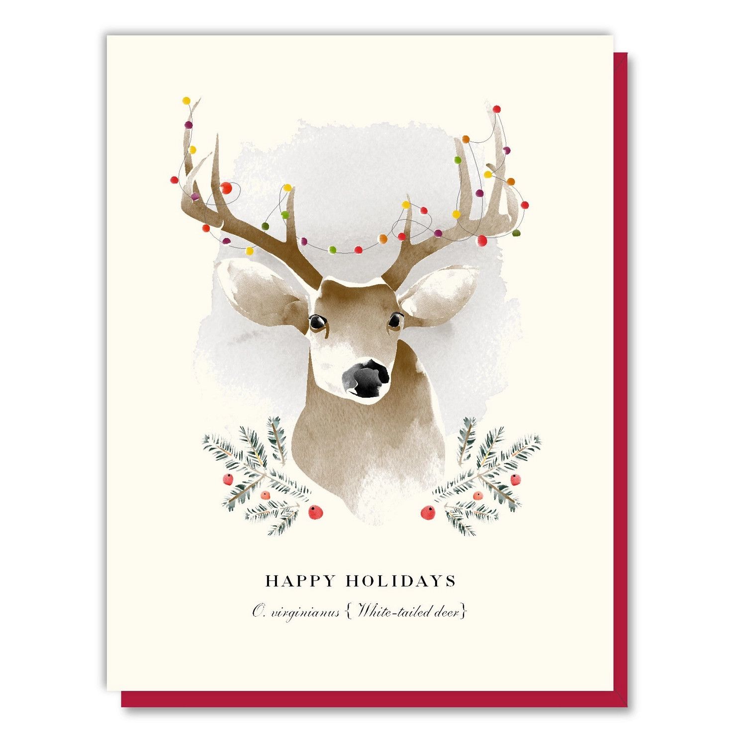 Happy Holidays White-Tailed Deer Cards (box of 8)
