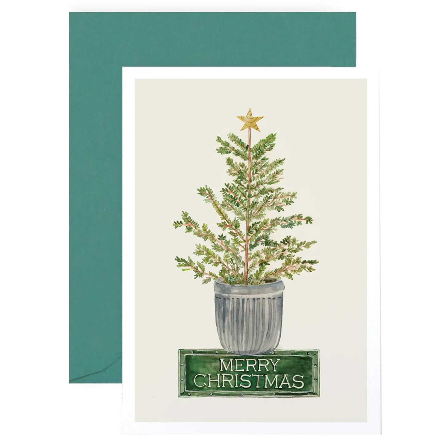 Fraser Fir Holiday Tree Holiday Cards (box of 8)