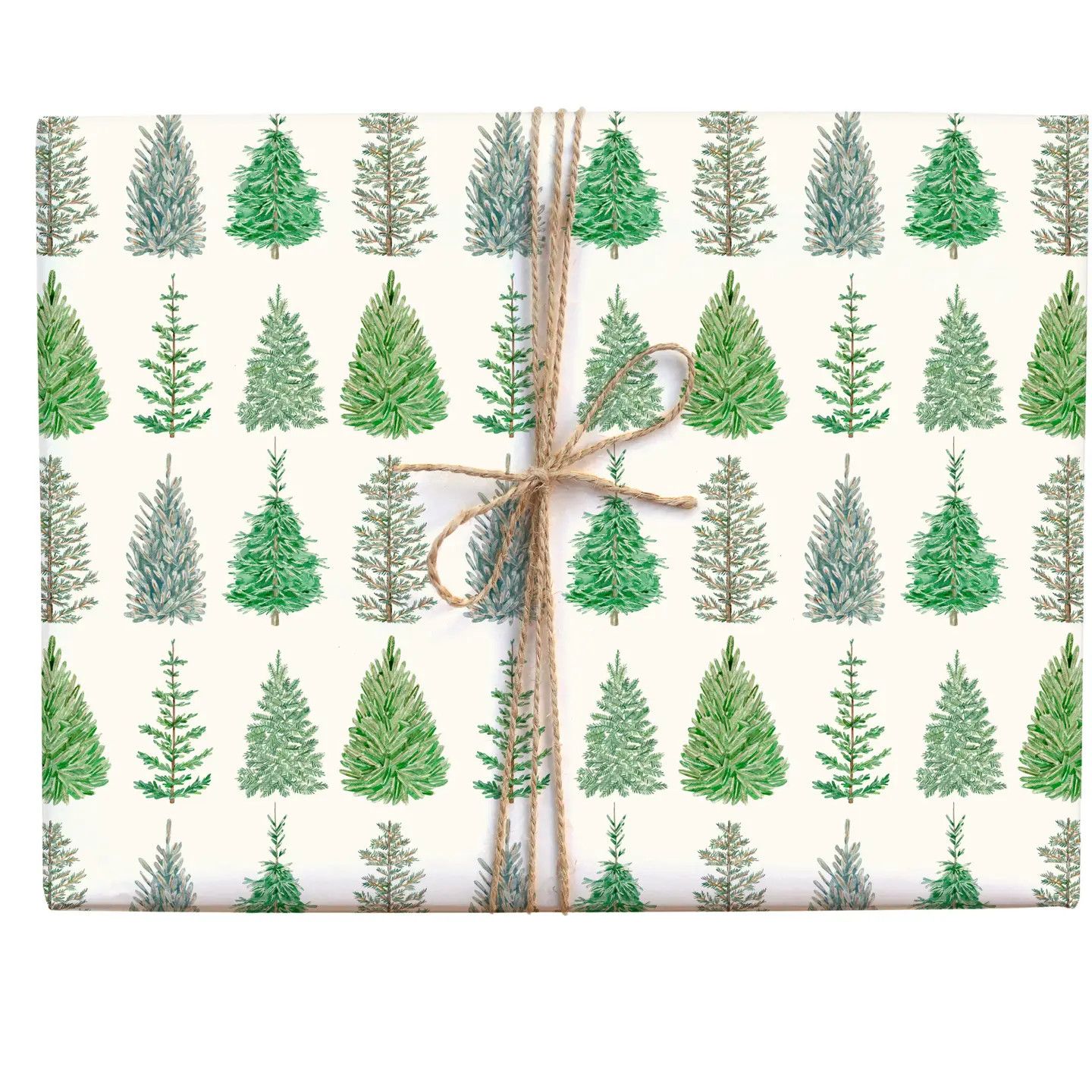 Evergreen Christmas Tree Gift Wrap Roll - 3 sheets