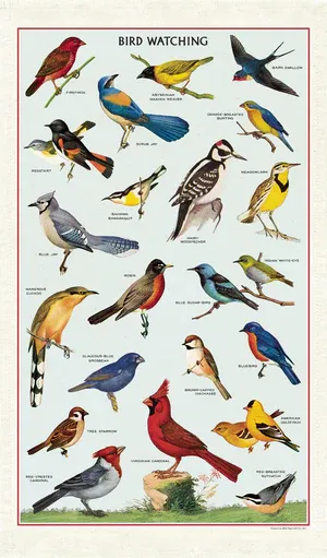 Cavallini &amp; Co. Bird Watching Cotton Tea Towel