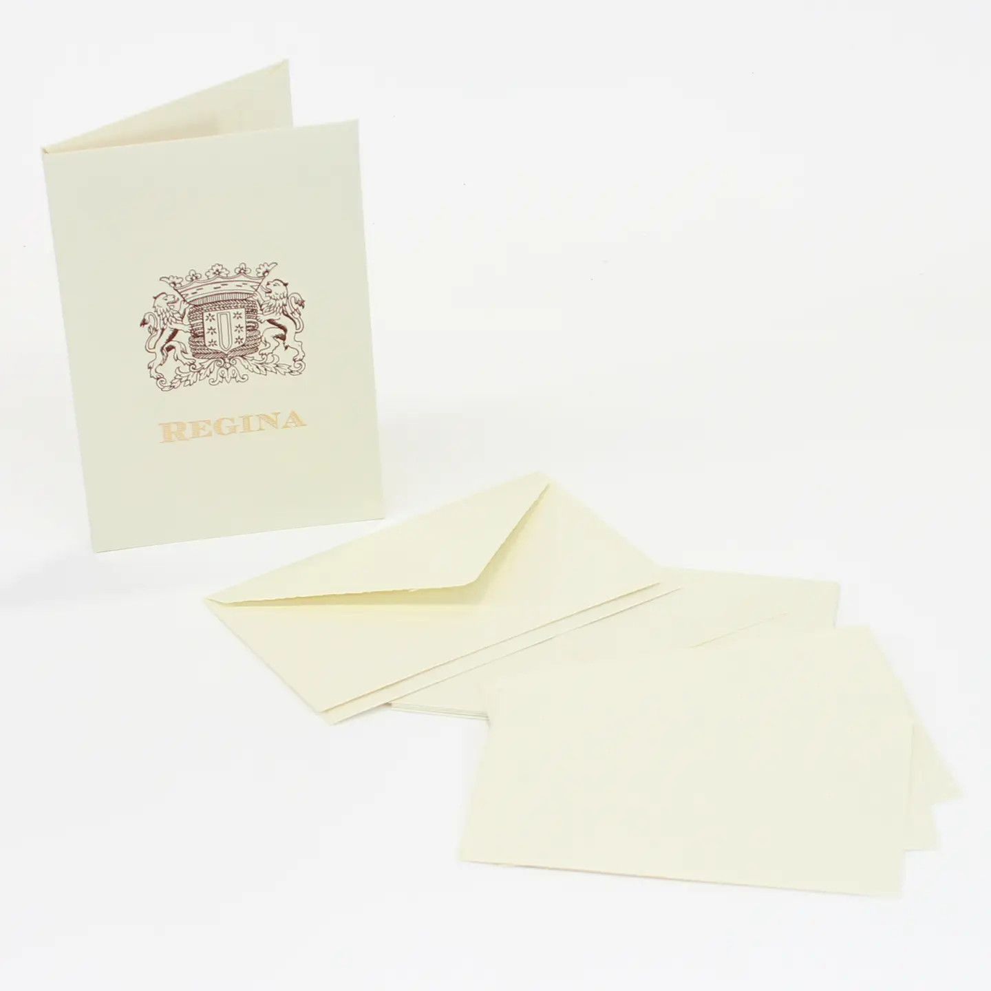 Regina Medium Note Card Portfolio