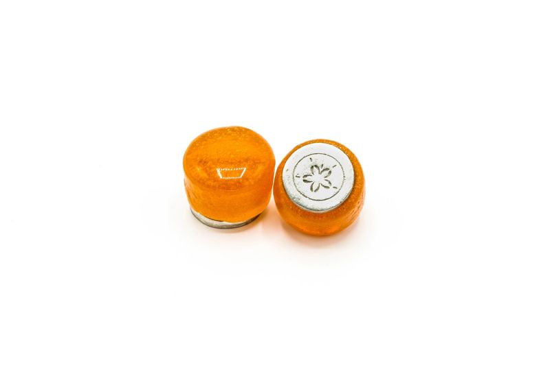 Small Glass Wax Seal Stamp - Sand Dollar