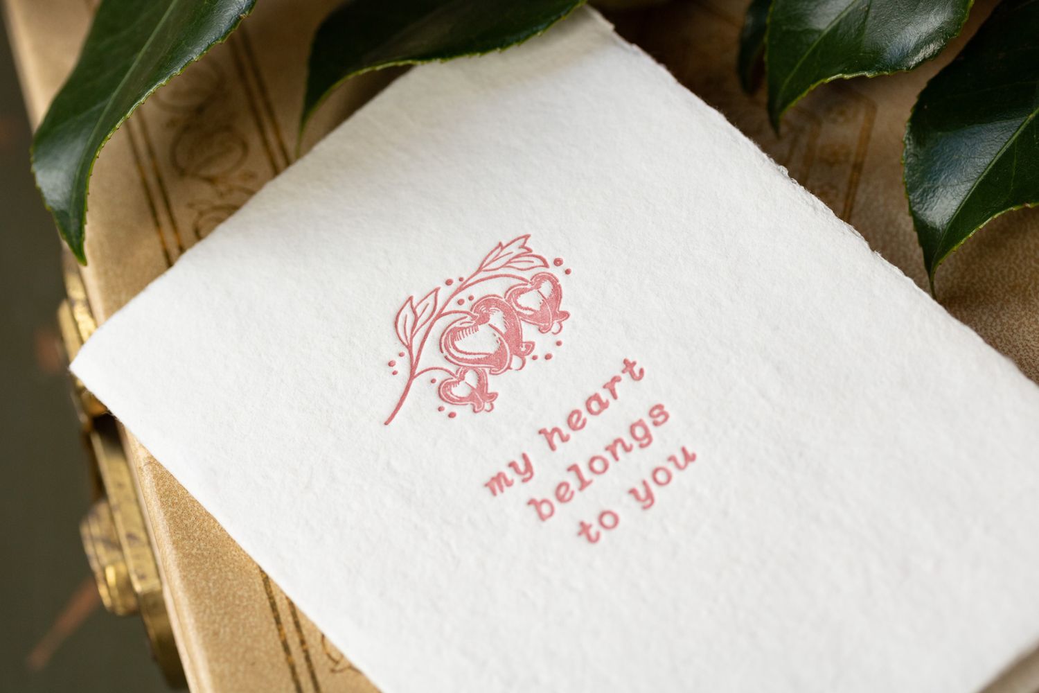 My Heart Tender Note Letterpress Greeting Card