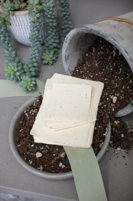 Seed Handmade Paper Pack