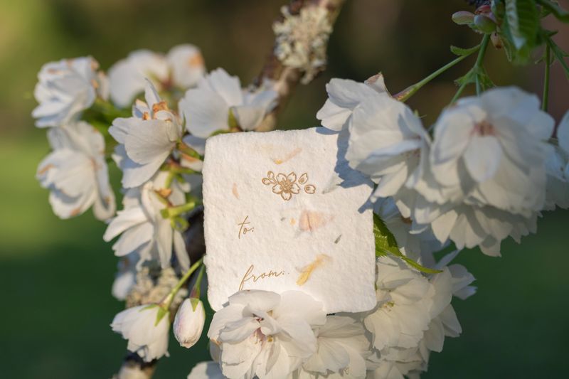Enclosure Cards &amp; Gift Tags