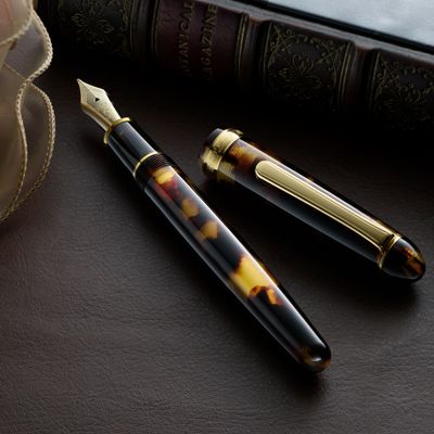 Platinum #3776 Celluloid Fountain Pen in Tortoise with Gold Trim (14k Gold Nib)