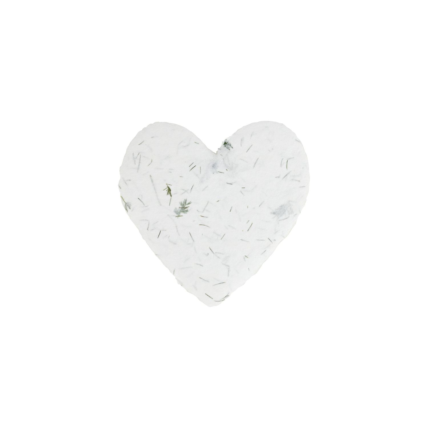 Oblation Fern Handmade Paper