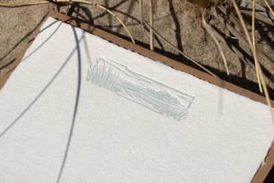 Seagrass Deckled Correspondence Note