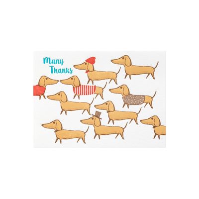 Dachshunds Many Thanks Letterpress Cards (box of 6)