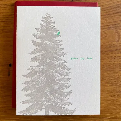 Norway Spruce Letterpress Cards (box of 6)
