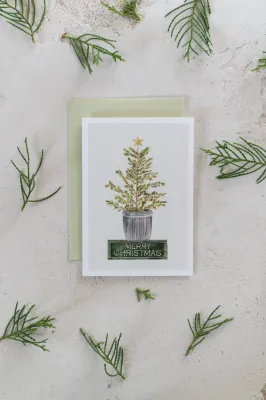 Fraser Fir Holiday Tree Holiday Cards (box of 8)