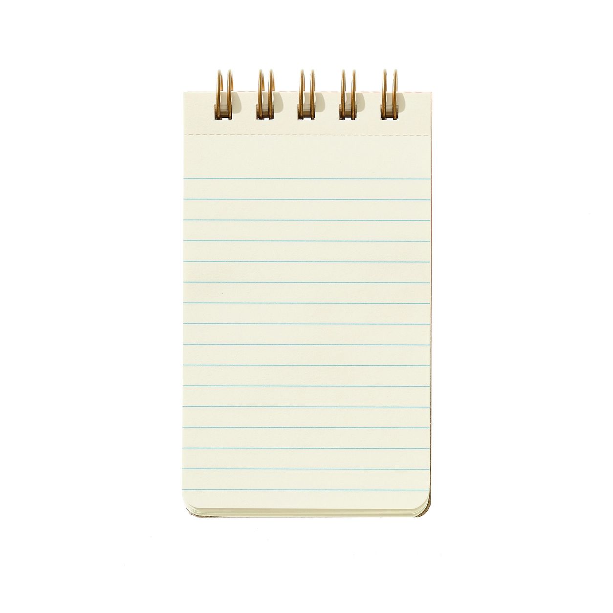 Reporter Notebook - Ocean (Lined)
