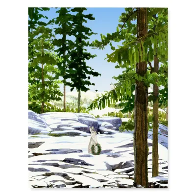 Bunny Slope Holiday Christmas Boxed Cards