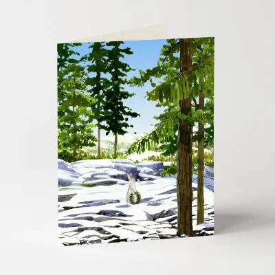 Bunny Slope Holiday Christmas Boxed Cards