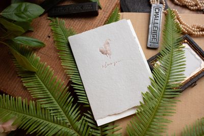 Ferns Love Prairie Rose Letterpress Card