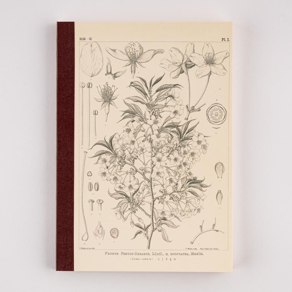 Hobonichi A5 Graph Notebook Tomitaro Makino: Yamazakura