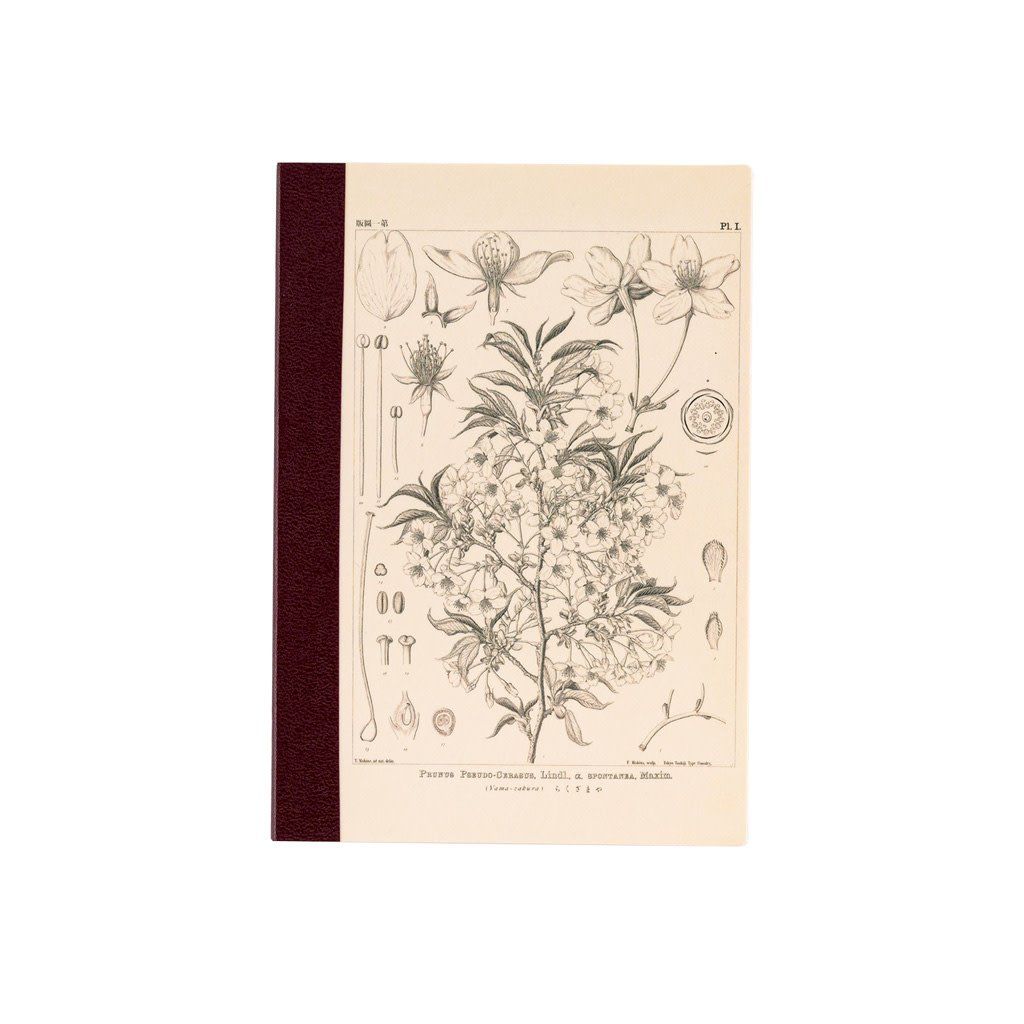 Hobonichi A6 Graph Notebook Tomitaro Makino: Yamazakura