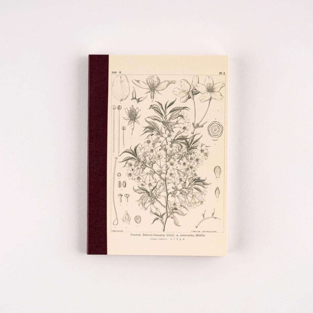 Hobonichi A6 Graph Notebook Tomitaro Makino: Yamazakura