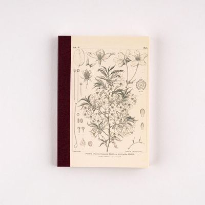 Hobonichi A6 Graph Notebook Tomitaro Makino: Yamazakura