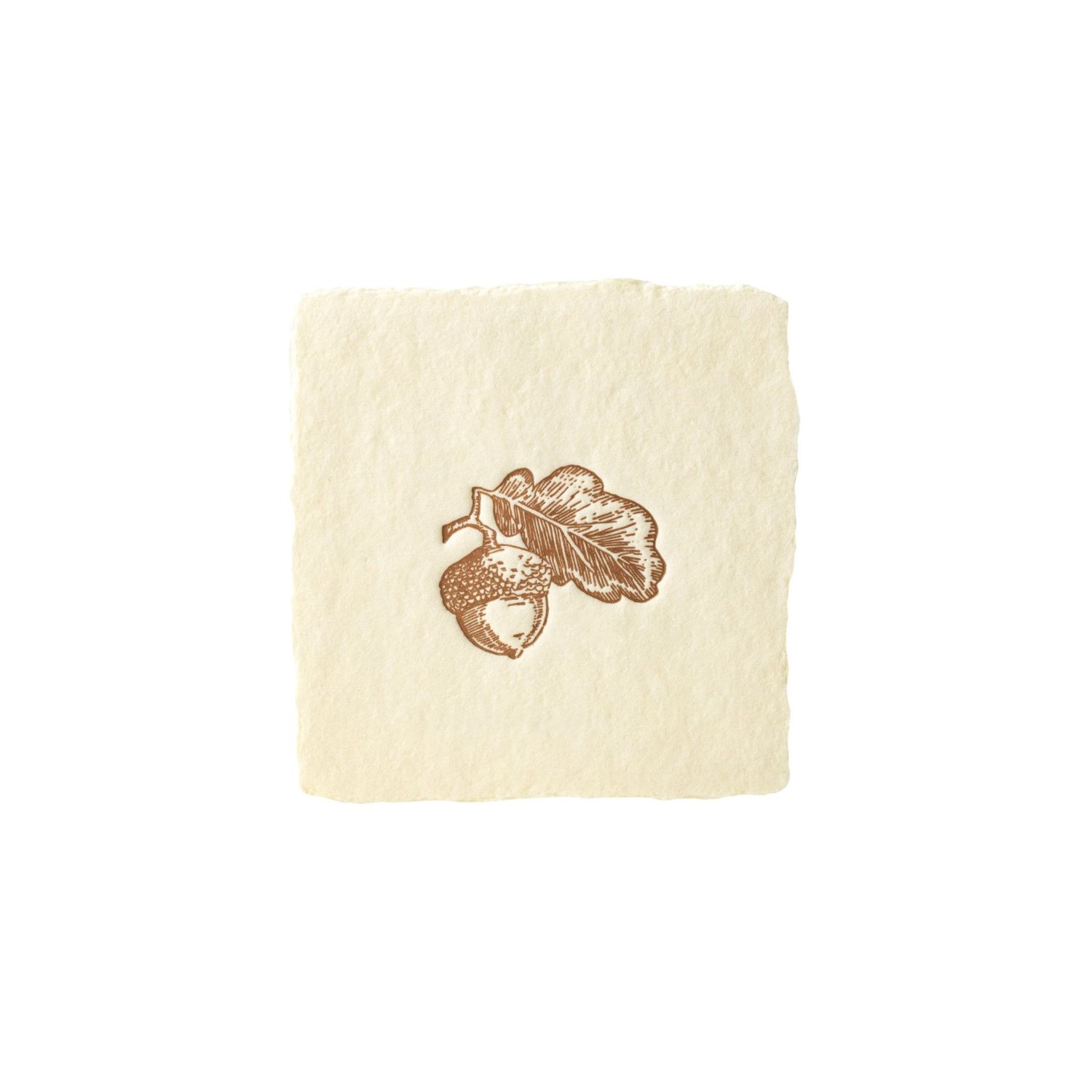 Oblation Acorn Petite Letterpress Flat Enclosure Card