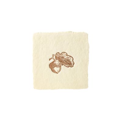 Oblation Acorn Petite Letterpress Flat Enclosure Card