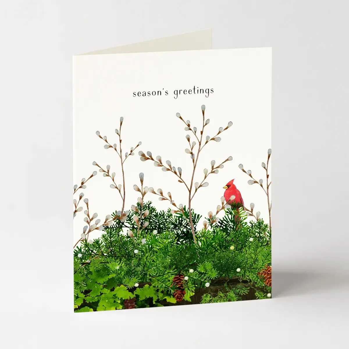 Cardinal and Evergreen Holiday Christmas Boxed Cards