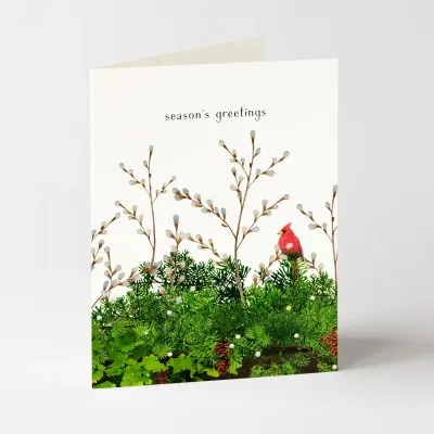 Cardinal and Evergreen Holiday Christmas Boxed Cards