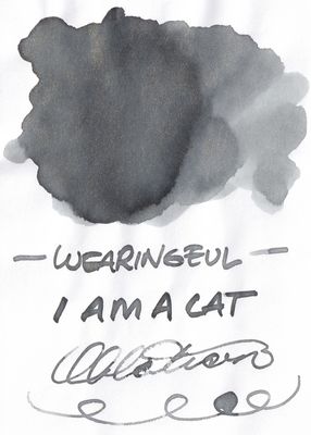 Wearingeul I am a Cat Bottled Ink (30ml)
