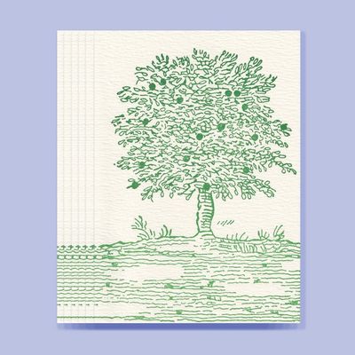 Fruit Tree Grace Notes (box of 6)