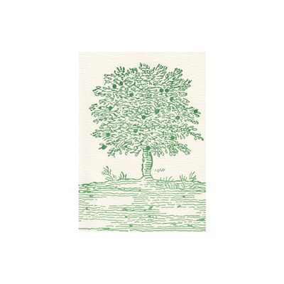 Fruit Tree Grace Notes (box of 6)