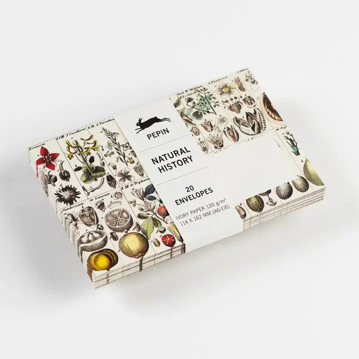 Pepin Press Natural History C6/A6 Envelopes (pack of 20)