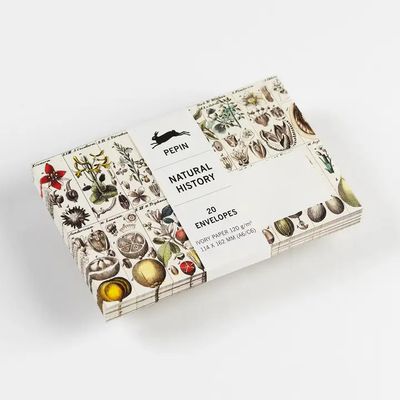 Pepin Press Natural History C6/A6 Envelopes (pack of 20)