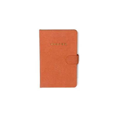 Mini Password Journal - Asterisks