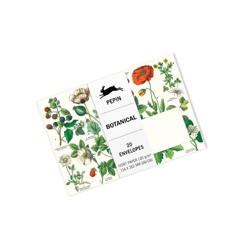 Pepin Botanical C6/A6 Envelopes (pack of 20)