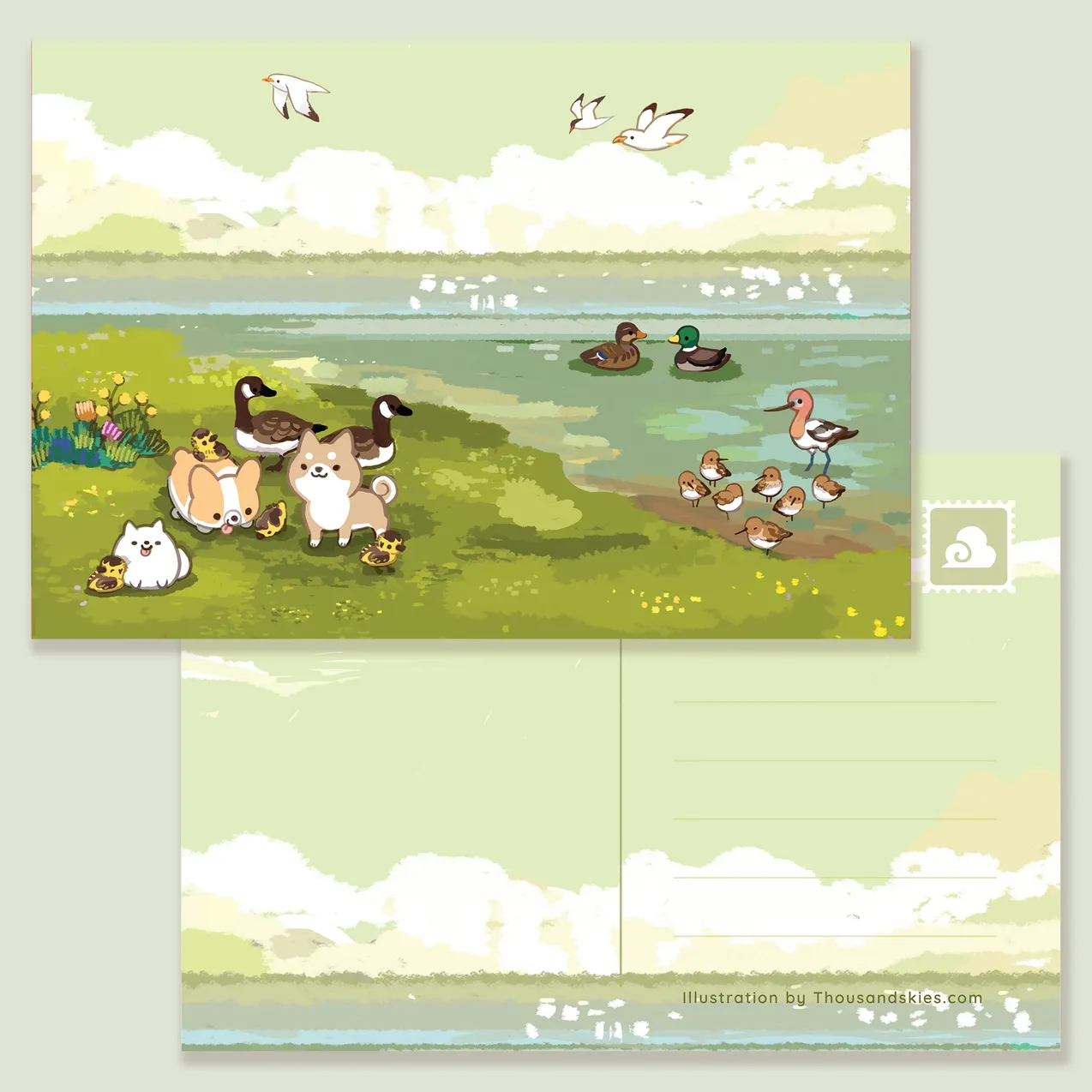 By The Shoreline Postcard