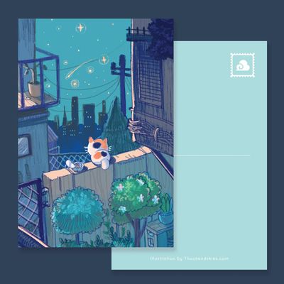 Midnight Kitten Postcard