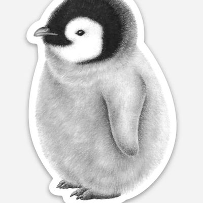 Baby Penguin Sticker