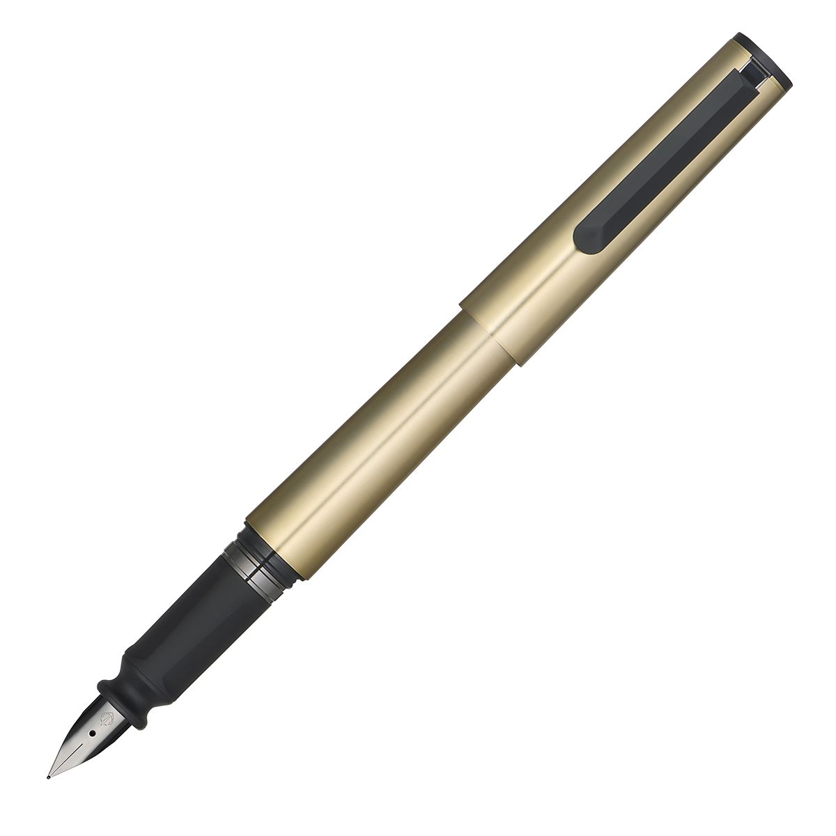 Sailor TUZU ADJUST Forge Fountain Pen in Gold