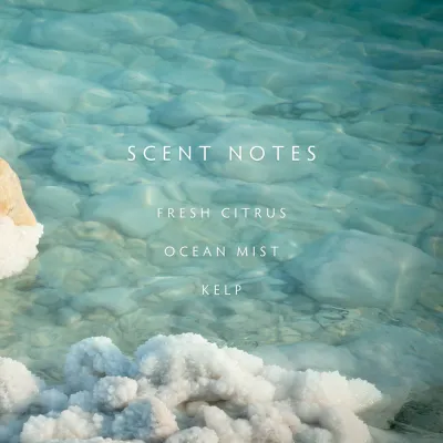 Linnea Sea Salt Room Spray