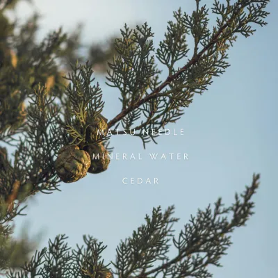 Linnea Hinoki Room Spray