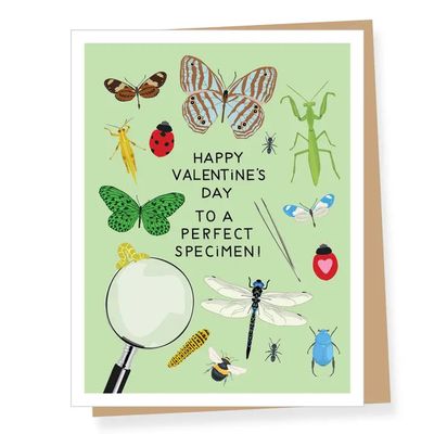 Perfect Specimen Valentine's Day Card