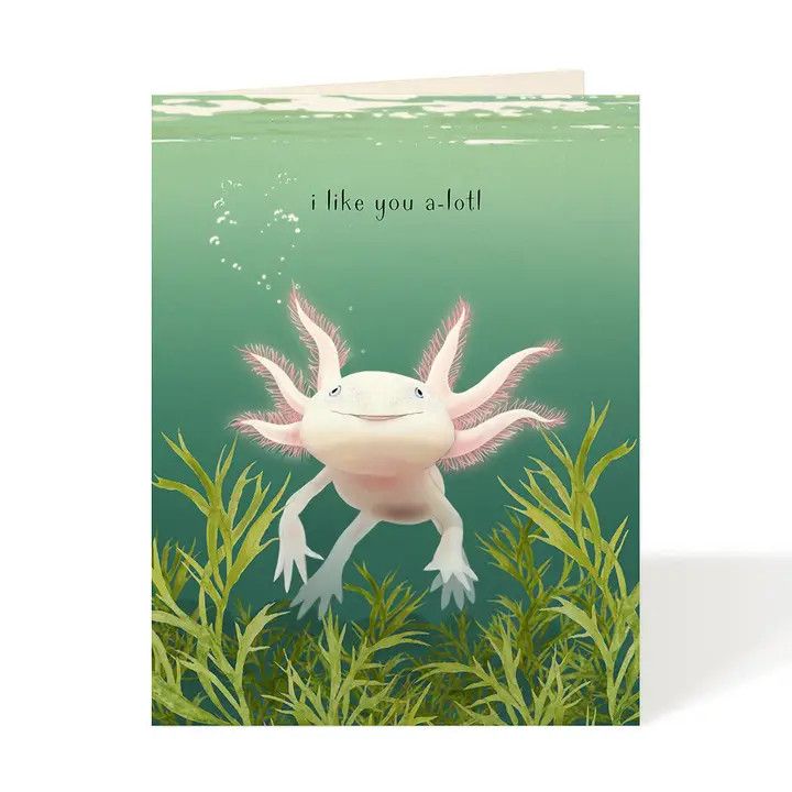 I like you a-lotl Axolotl Card