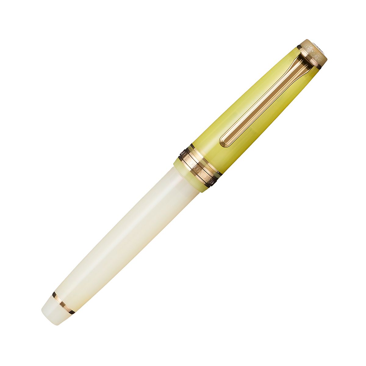 Sailor Pro Gear Slim Dried Flowers 2 Marigold Fountain Pen