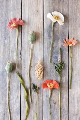White Felt Poppy Flower