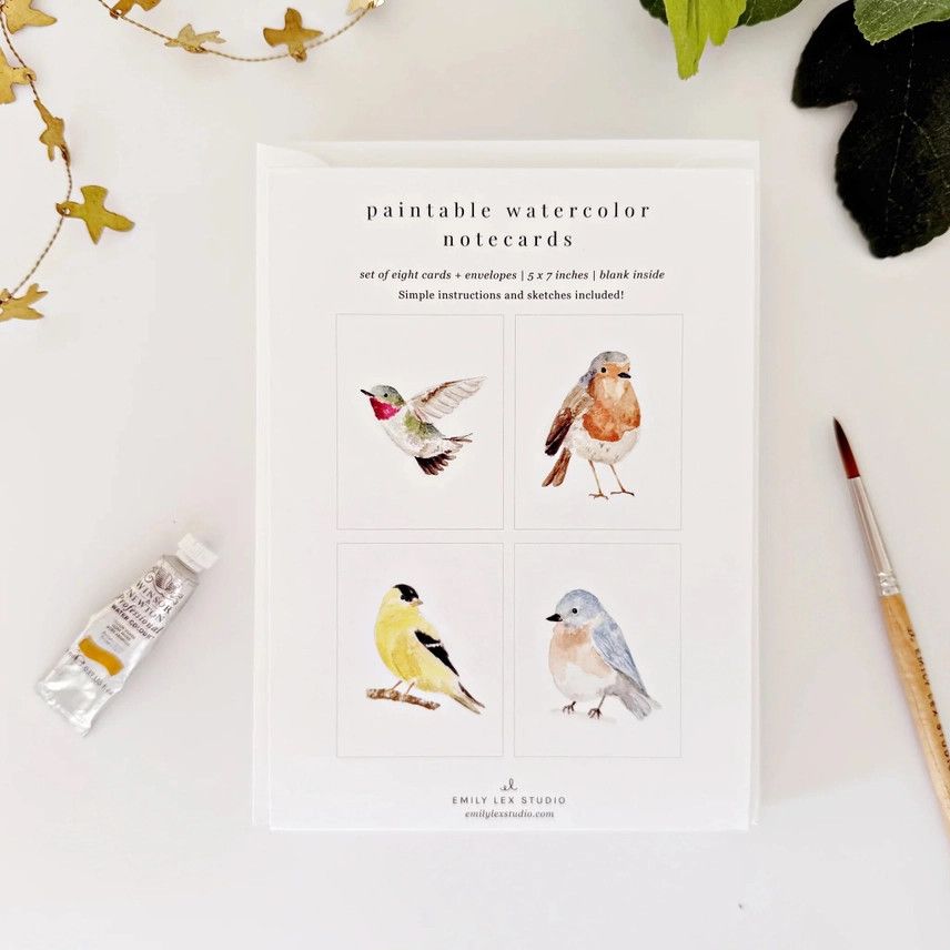 Birds Paintable Watercolor Notecards (set of 8)