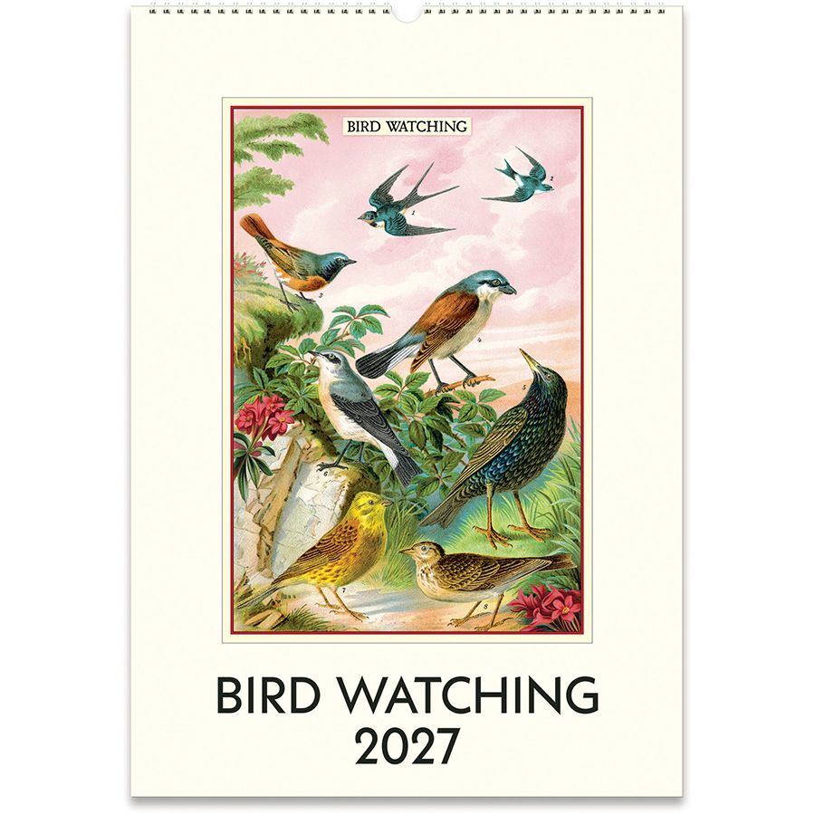Cavallini Bird Watching 2027 Wall Calendar