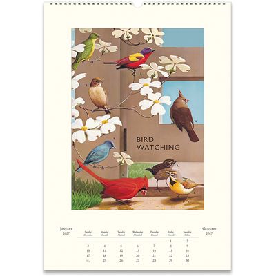 Cavallini Papers &amp; Co. Bird Watching 2027 Wall Calendar