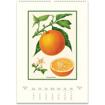 Cavallini Papers &amp; Co. Farmer's Market 2027 Wall Calendar